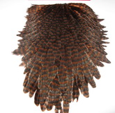 Hebert wet hen saddle grizzly coachman brown Whiting 